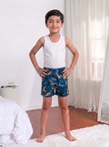 RTS Kids' Holy Print IE Shorts – Box of 10 Colors | 100% Pure Cotton 6