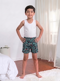 RTS Kids' Holy Print IE Shorts – Box of 10 Colors | 100% Pure Cotton 7
